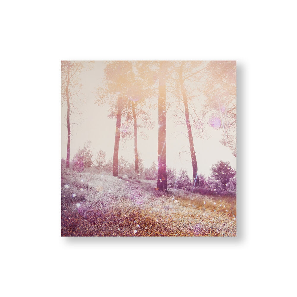 Meadow Daydream Printed Canvas Wall Art