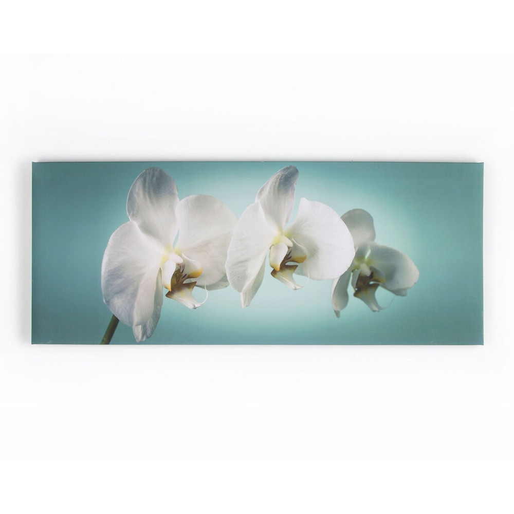 Teal Orchid Wall Art