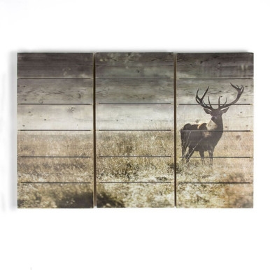 Highland Stag Print On Wood Wall Art