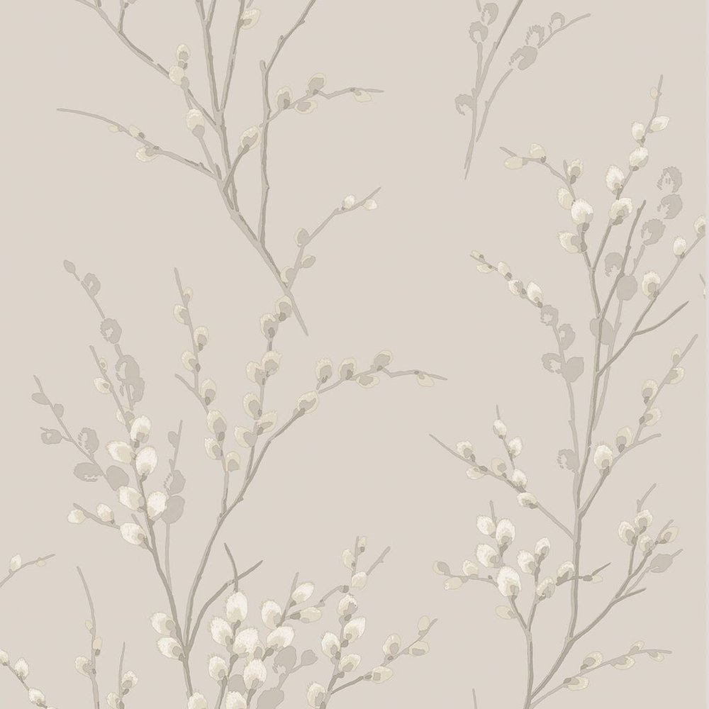 Pussy Willow Dove Gray Wallpaper